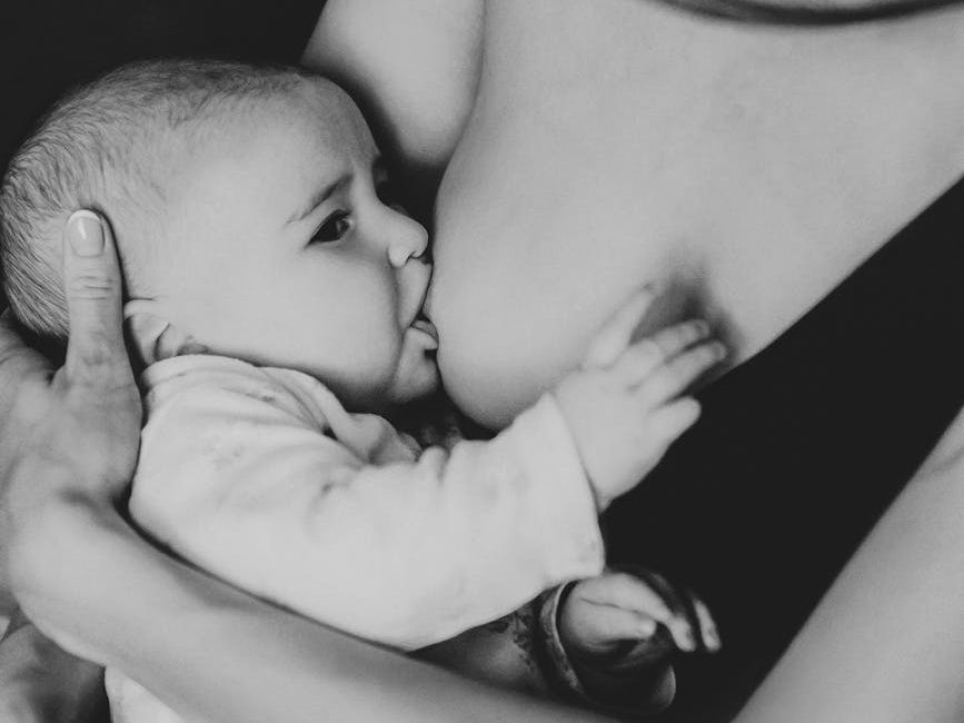 vegan breastfeeding diet